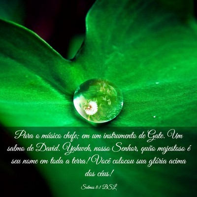 Picture 03 - Salmos 8:1 BSL - Para o músico chefe; em um instrumento de Gate. - Bible Verse Picture