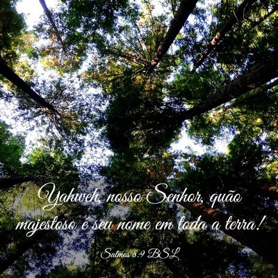 Picture 03 - Salmos 8:9 BSL - Yahweh, nosso Senhor, quão majestoso é seu nome - Bible Verse Picture