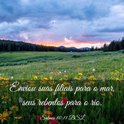 Picture 03 - Salmos 80:11 BSL - Enviou suas filiais para o mar, seus rebentos - Bible Verse Picture