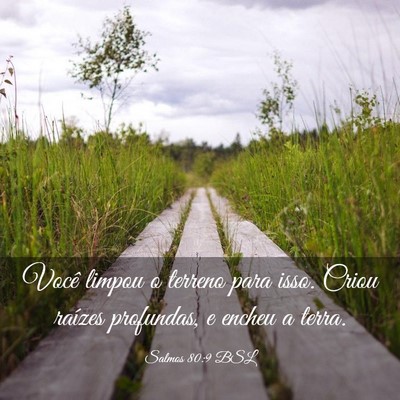 Picture 03 - Salmos 80:9 BSL - Você limpou o terreno para isso. Criou raízes - Bible Verse Picture