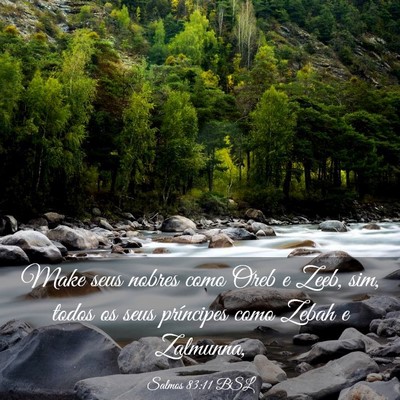 Picture 03 - Salmos 83:11 BSL - Make seus nobres como Oreb e Zeeb, sim, todos os - Bible Verse Picture