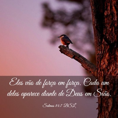 Picture 03 - Salmos 84:7 BSL - Eles vão de força em força. Cada um deles - Bible Verse Picture