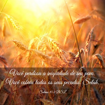 Picture 03 - Salmos 85:2 BSL - Você perdoou a iniqüidade de seu povo. Você - Bible Verse Picture
