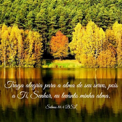 Picture 03 - Salmos 86:4 BSL - Traga alegria para a alma de seu servo, pois a - Bible Verse Picture