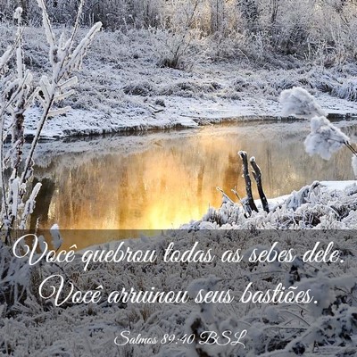 Picture 03 - Salmos 89:40 BSL - Você quebrou todas as sebes dele. Você arruinou - Bible Verse Picture