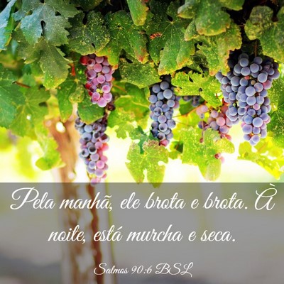 Picture 03 - Salmos 90:6 BSL - Pela manhã, ele brota e brota. À noite, está - Bible Verse Picture