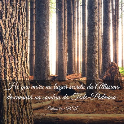 Picture 03 - Salmos 91:1 BSL - He que mora no lugar secreto do Altíssimo - Bible Verse Picture