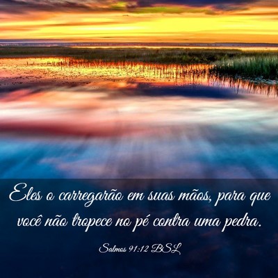 Picture 03 - Salmos 91:12 BSL - Eles o carregarão em suas mãos, para que você - Bible Verse Picture