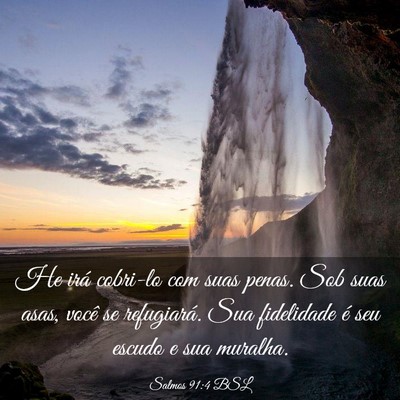 Picture 03 - Salmos 91:4 BSL - He irá cobri-lo com suas penas. Sob suas asas, - Bible Verse Picture