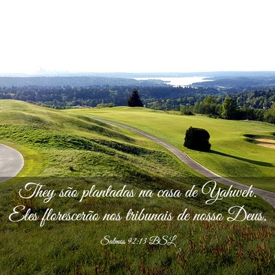 Picture 03 - Salmos 92:13 BSL - They são plantadas na casa de Yahweh. Eles - Bible Verse Picture