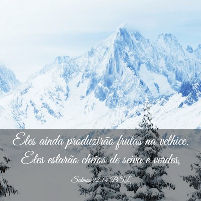 Picture 03 - Salmos 92:14 BSL - Eles ainda produzirão frutas na velhice. Eles - Bible Verse Picture