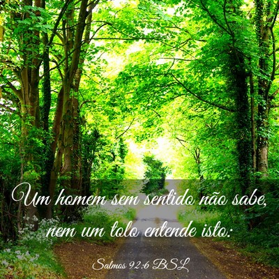 Picture 03 - Salmos 92:6 BSL - Um homem sem sentido não sabe, nem um tolo - Bible Verse Picture