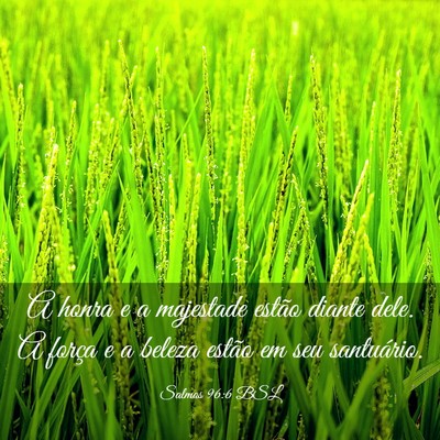 Picture 03 - Salmos 96:6 BSL - A honra e a majestade estão diante dele. A - Bible Verse Picture