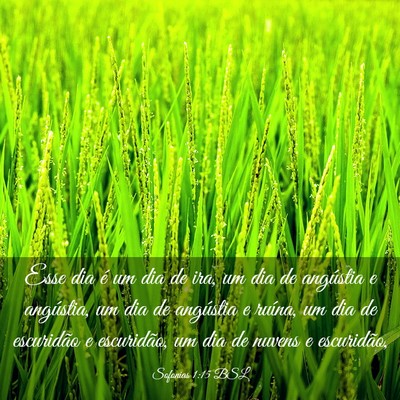 Picture 03 - Sofonias 1:15 BSL - Esse dia é um dia de ira, um dia de angústia e - Bible Verse Picture