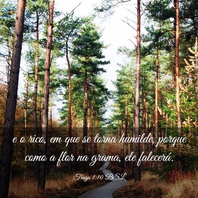 Picture 03 - Tiago 1:10 BSL - e o rico, em que se torna humilde, porque como a - Bible Verse Picture