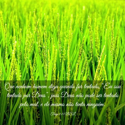 Picture 03 - Tiago 1:13 BSL - Que nenhum homem diga quando for tentado, “Eu - Bible Verse Picture