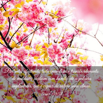 Picture 03 - Tiago 1:21 BSL - Portanto, afastando toda imundícia e - Bible Verse Picture