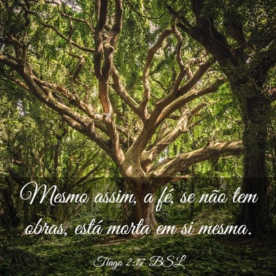 Picture 03 - Tiago 2:17 BSL - Mesmo assim, a fé, se não tem obras, está - Bible Verse Picture
