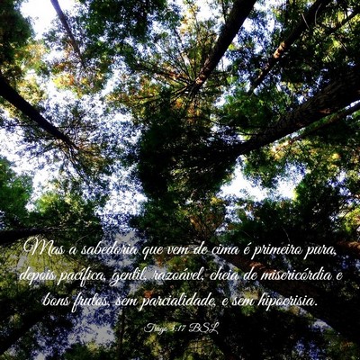 Picture 03 - Tiago 3:17 BSL - Mas a sabedoria que vem de cima é primeiro pura, - Bible Verse Picture
