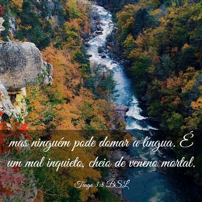 Picture 03 - Tiago 3:8 BSL - mas ninguém pode domar a língua. É um mal - Bible Verse Picture