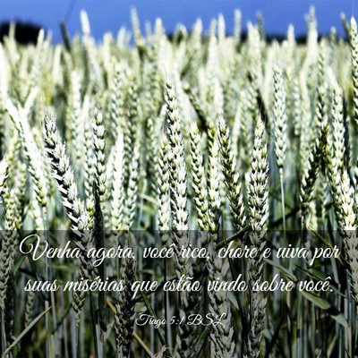 Picture 03 - Tiago 5:1 BSL - Venha agora, você rico, chore e uiva por suas - Bible Verse Picture