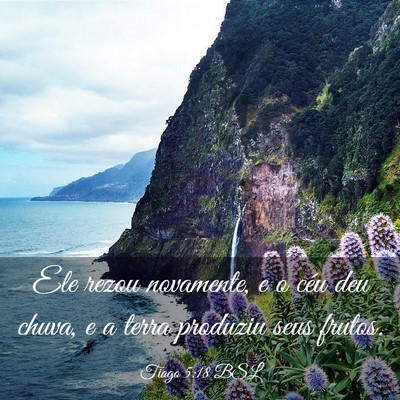 Picture 03 - Tiago 5:18 BSL - Ele rezou novamente, e o céu deu chuva, e a - Bible Verse Picture