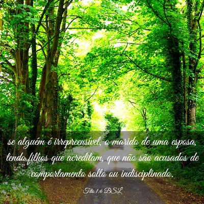 Picture 03 - Tito 1:6 BSL - se alguém é irrepreensível, o marido de uma - Bible Verse Picture