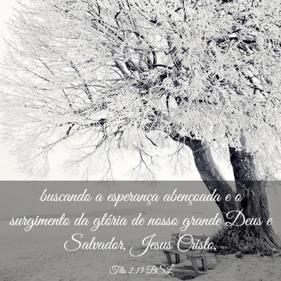 Picture 03 - Tito 2:13 BSL - buscando a esperança abençoada e o surgimento - Bible Verse Picture
