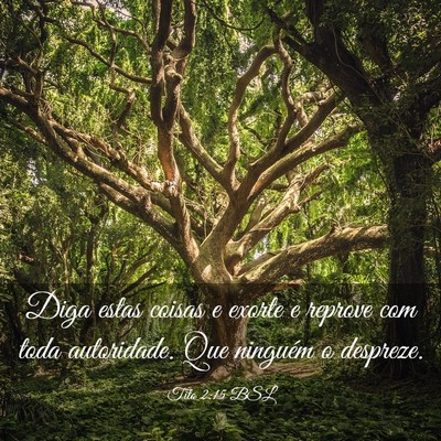 Picture 03 - Tito 2:15 BSL - Diga estas coisas e exorte e reprove com toda - Bible Verse Picture