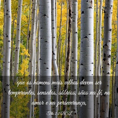 Picture 03 - Tito 2:2 BSL - que os homens mais velhos devem ser temperantes, - Bible Verse Picture