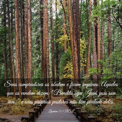 Picture 03 - Zacarias 11:5 BSL - Seus compradores os abatem e ficam impunes. - Bible Verse Picture
