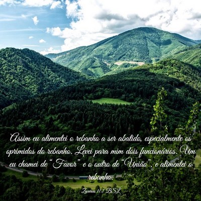 Picture 03 - Zacarias 11:7 BSL - Assim eu alimentei o rebanho a ser abatido, - Bible Verse Picture