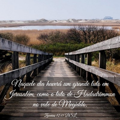 Picture 03 - Zacarias 12:11 BSL - Naquele dia haverá um grande luto em Jerusalém, - Bible Verse Picture
