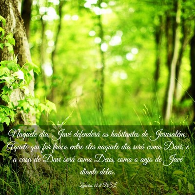 Picture 03 - Zacarias 12:8 BSL - Naquele dia, Javé defenderá os habitantes de - Bible Verse Picture
