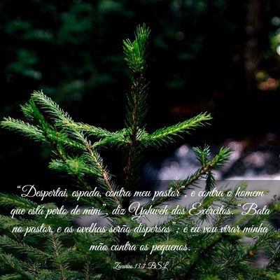 Picture 03 - Zacarias 13:7 BSL - “Despertai, espada, contra meu pastor”, e - Bible Verse Picture