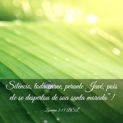 Picture 03 - Zacarias 2:13 BSL - Silêncio, toda carne, perante Javé; pois ele se - Bible Verse Picture