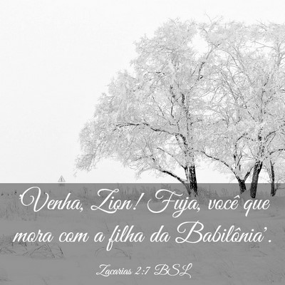 Picture 03 - Zacarias 2:7 BSL - 'Venha, Zion! Fuja, você que mora com a filha da - Bible Verse Picture