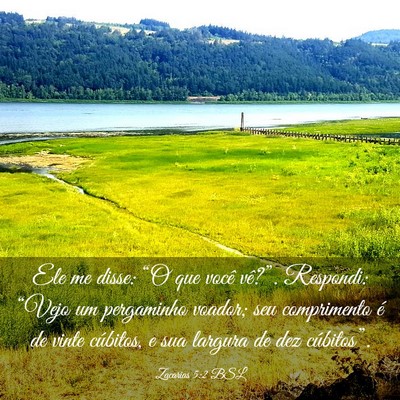 Picture 03 - Zacarias 5:2 BSL - Ele me disse: “O que você vê?”. Respondi: - Bible Verse Picture