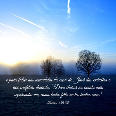 Picture 03 - Zacarias 7:3 BSL - e para falar aos sacerdotes da casa de Javé dos - Bible Verse Picture