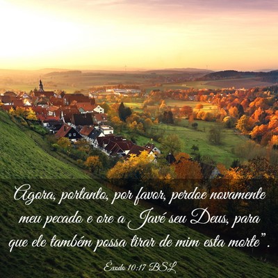 Picture 03 - Êxodo 10:17 BSL - Agora, portanto, por favor, perdoe novamente meu - Bible Verse Picture
