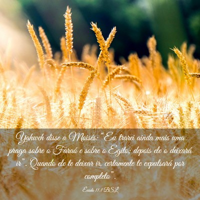 Picture 03 - Êxodo 11:1 BSL - Yahweh disse a Moisés: “Eu trarei ainda mais - Bible Verse Picture