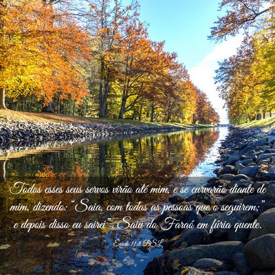 Picture 03 - Êxodo 11:8 BSL - Todos esses seus servos virão até mim, e se - Bible Verse Picture