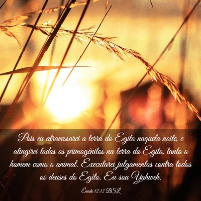 Picture 03 - Êxodo 12:12 BSL - Pois eu atravessarei a terra do Egito naquela - Bible Verse Picture