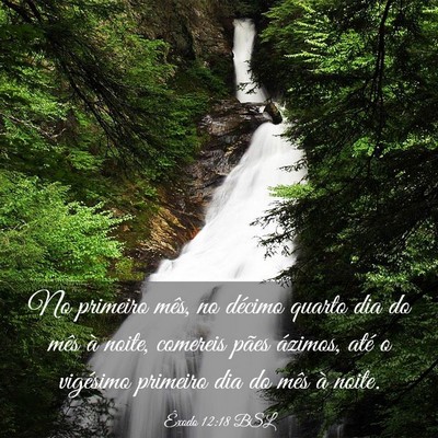Picture 03 - Êxodo 12:18 BSL - No primeiro mês, no décimo quarto dia do mês - Bible Verse Picture