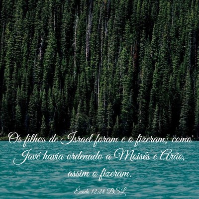 Picture 03 - Êxodo 12:28 BSL - Os filhos de Israel foram e o fizeram; como Javé - Bible Verse Picture