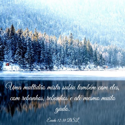 Picture 03 - Êxodo 12:38 BSL - Uma multidão mista subiu também com eles, com - Bible Verse Picture