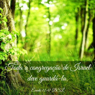Picture 03 - Êxodo 12:47 BSL - Toda a congregação de Israel deve - Bible Verse Picture