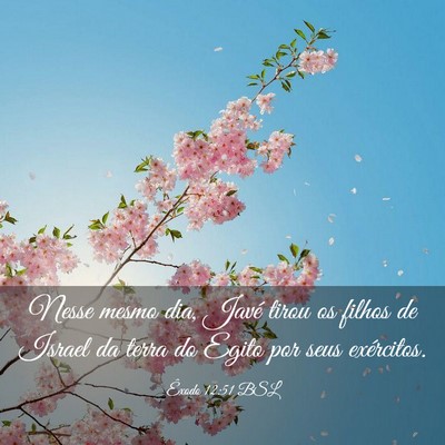 Picture 03 - Êxodo 12:51 BSL - Nesse mesmo dia, Javé tirou os filhos de Israel - Bible Verse Picture