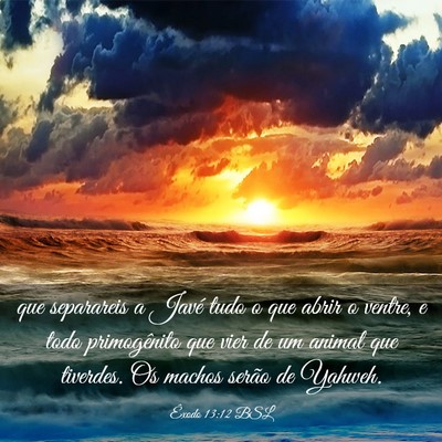 Picture 03 - Êxodo 13:12 BSL - que separareis a Javé tudo o que abrir o ventre, - Bible Verse Picture