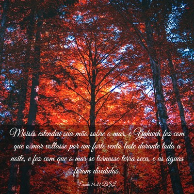 Picture 03 - Êxodo 14:21 BSL - Moisés estendeu sua mão sobre o mar, e Yahweh - Bible Verse Picture